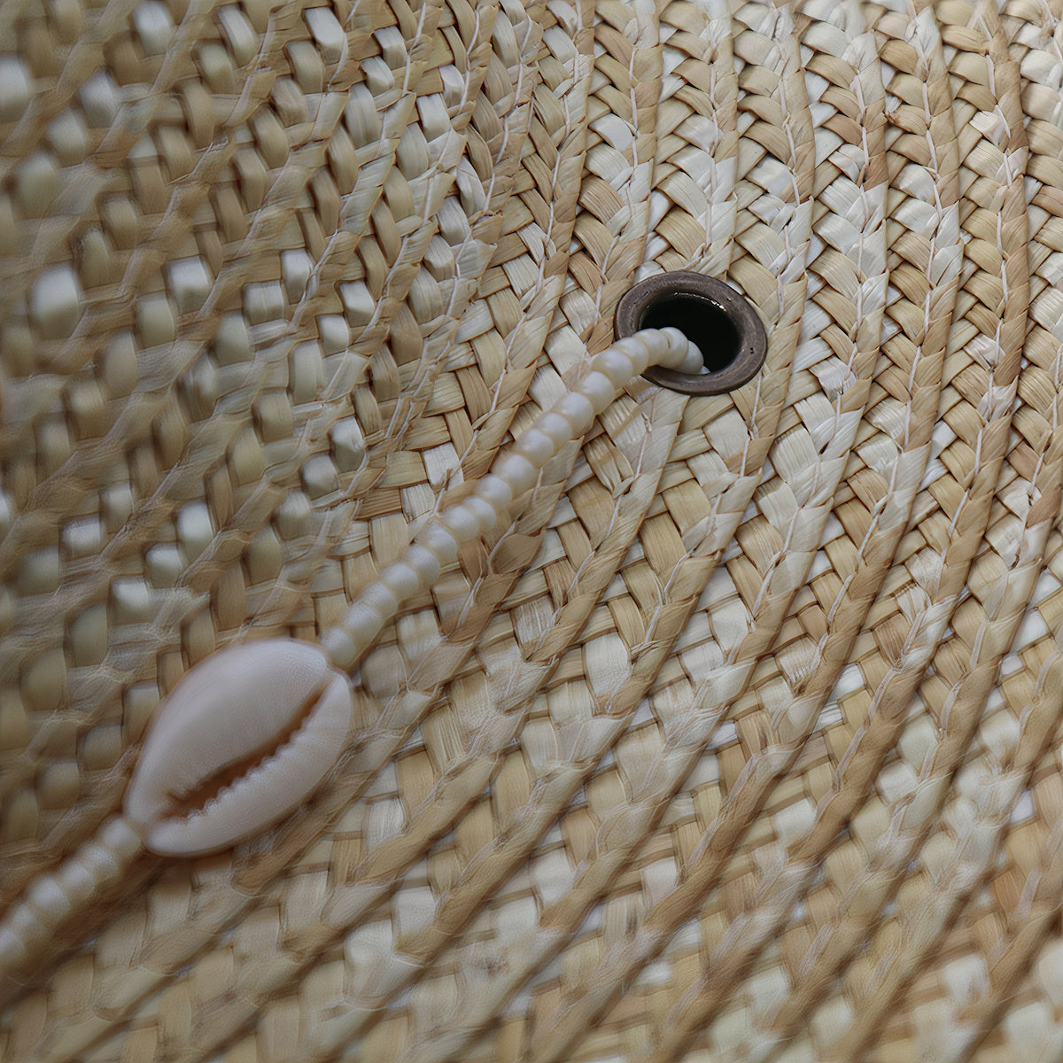 Chapeau de Paille  Coquillages