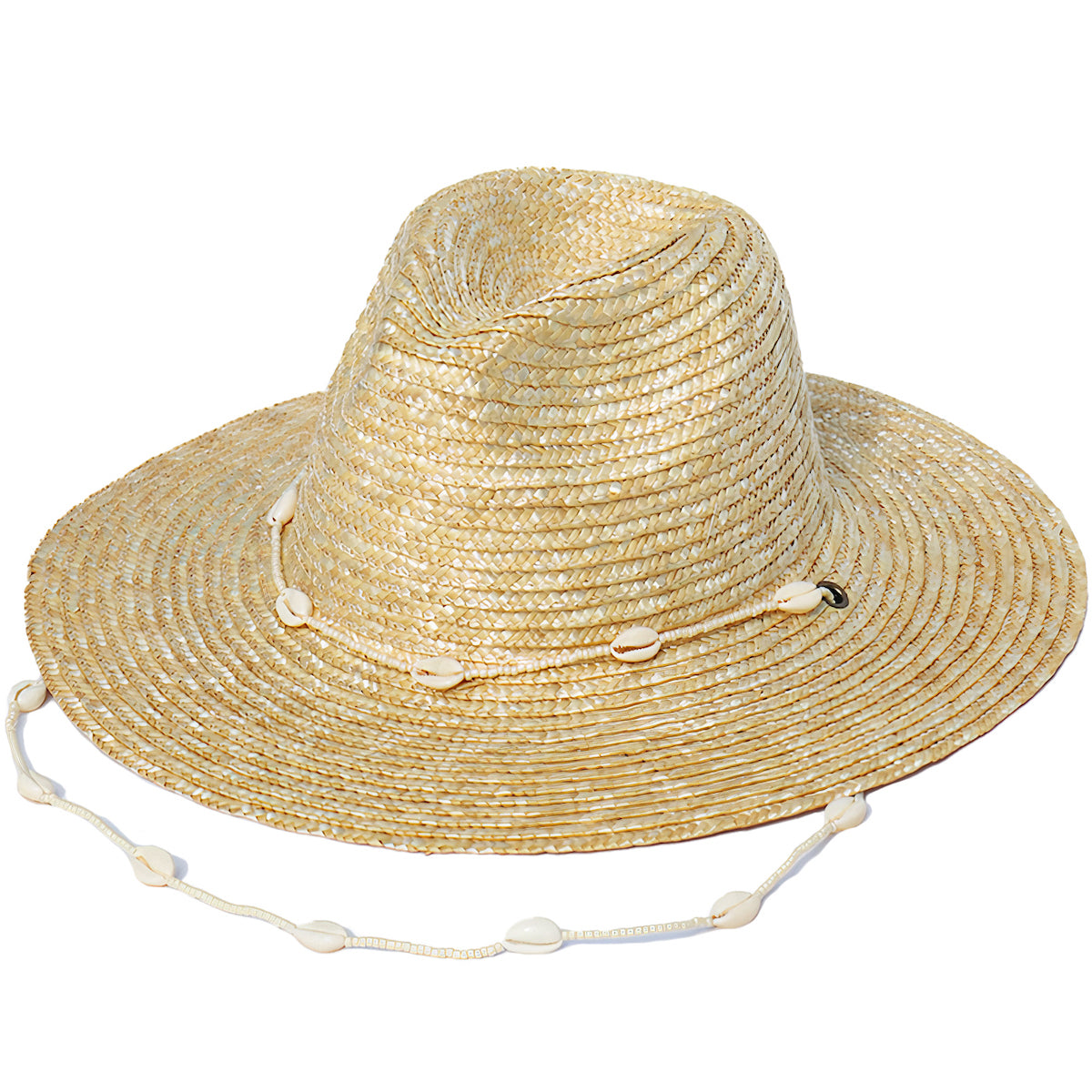 Chapeau de Paille  Coquillages